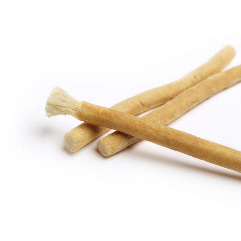 Lot de 2 bâtonnets de Siwak - ORINKO - PBS - Naturopathie & Zéro déchet